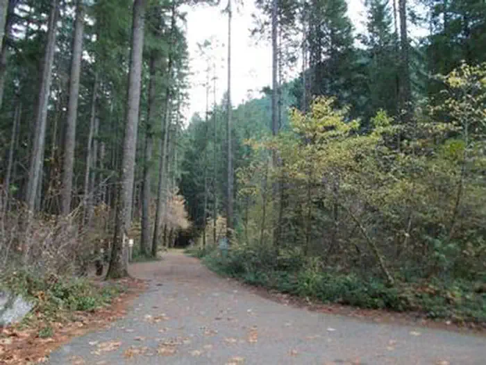 BOGUS CREEK CAMPGROUND — BOGUS CREEK CAMPGROUND