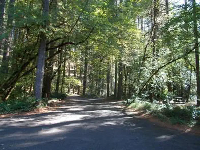 BOGUS CREEK CAMPGROUND — BOGUS CREEK CAMPGROUND