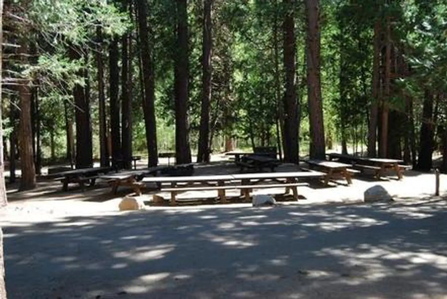 Aspen Hollow Group (Sequoia National Forest, CA) — ASPEN HOLLOW GROUP