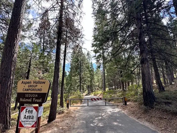 Aspen Hollow Group (Sequoia National Forest, CA) — Entrance to Aspen Hollow Group Site