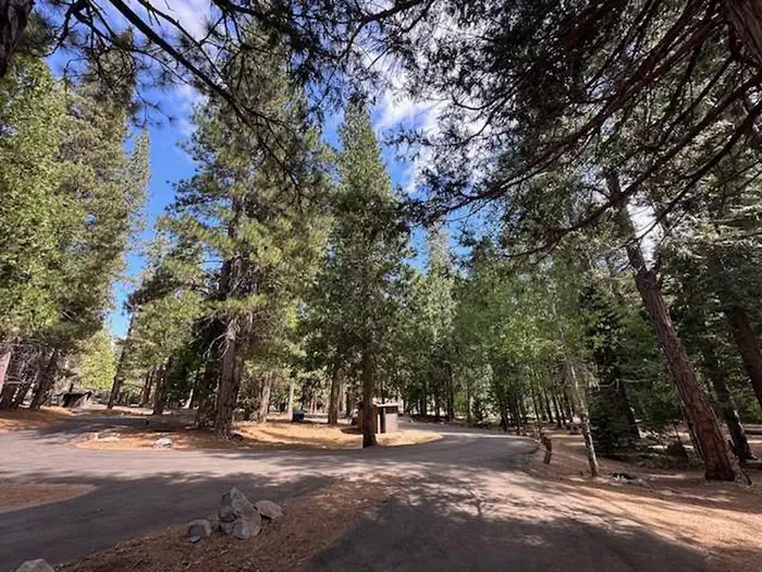 Aspen Hollow Group (Sequoia National Forest, CA) — Driveway into Aspen Hollow Group Site