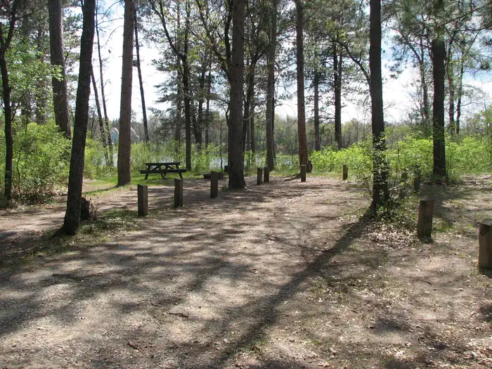 Mack Lake ORV Campground — A campsite at Mack Lake ORV Campground