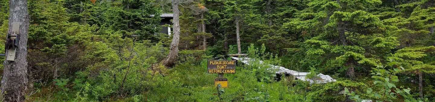 Black Bear Lake Cabin