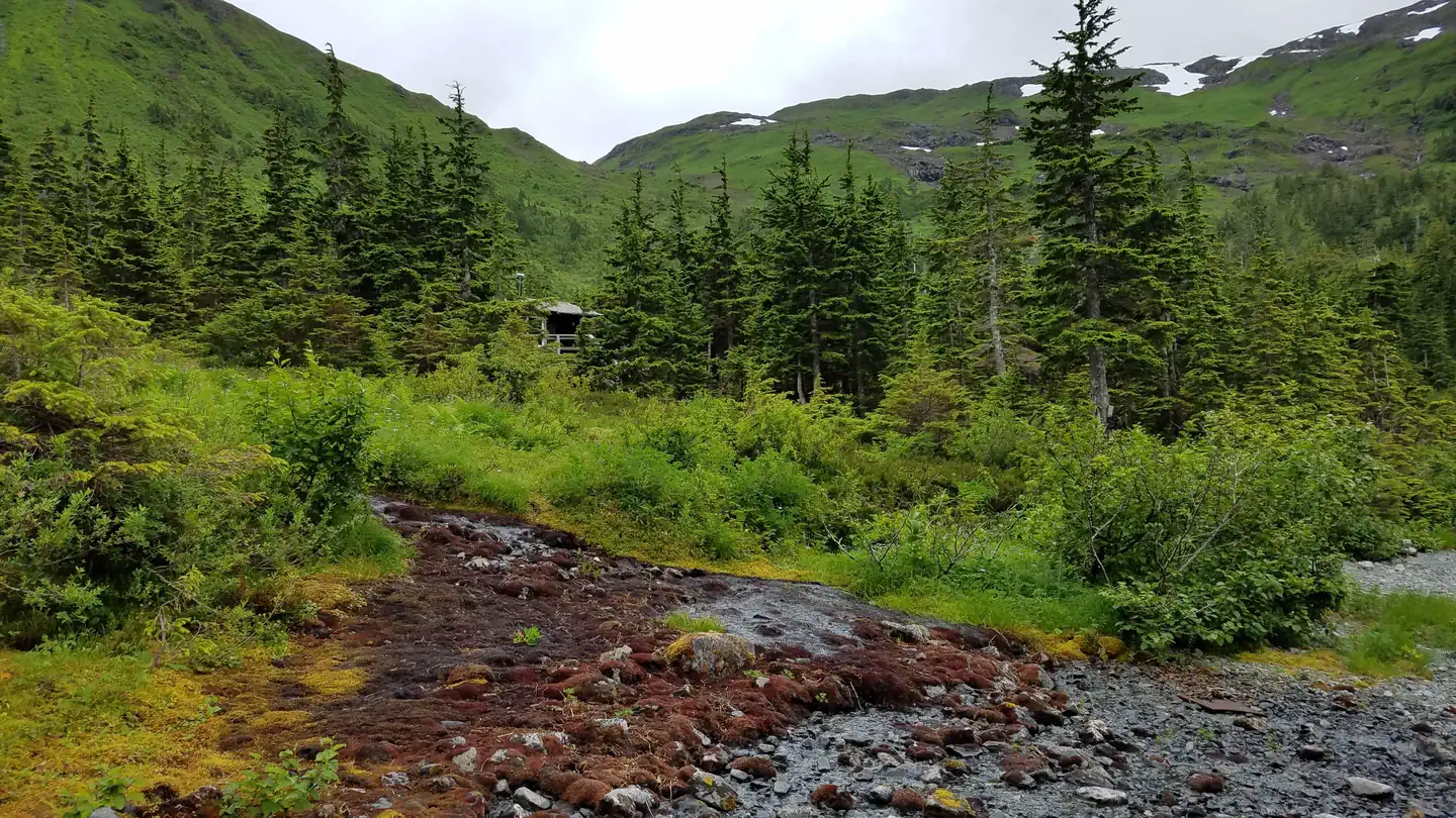 Black Bear Lake Cabin (Tongass National Forest, AK) — Black Bear Lake Cabin2