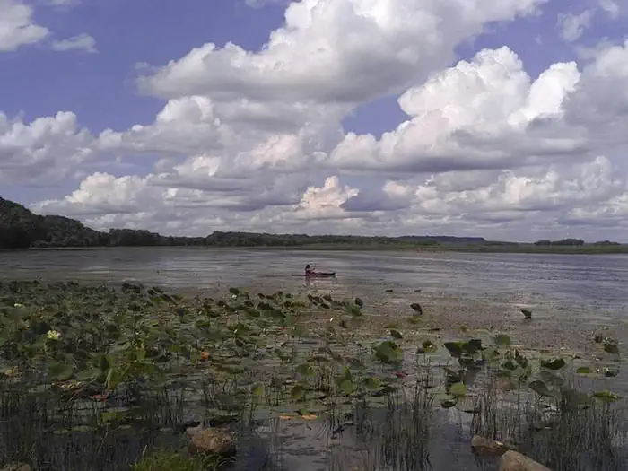 Bulger's Hollow Recreation Area — Kayaking at Bulger's Hollow Recreation Area