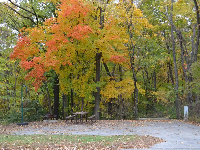 LITHIA SPRINGS — Lithia Springs Campground Fall Colors