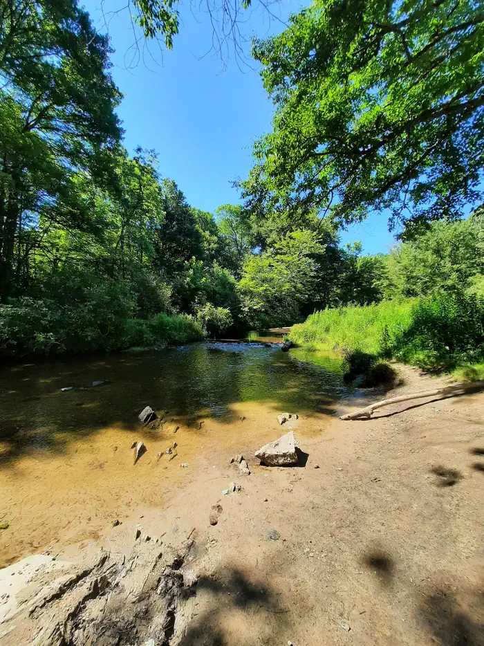 Johns River Road Backcountry Camping — River Access Close to Johns River Road Backcountry Camping