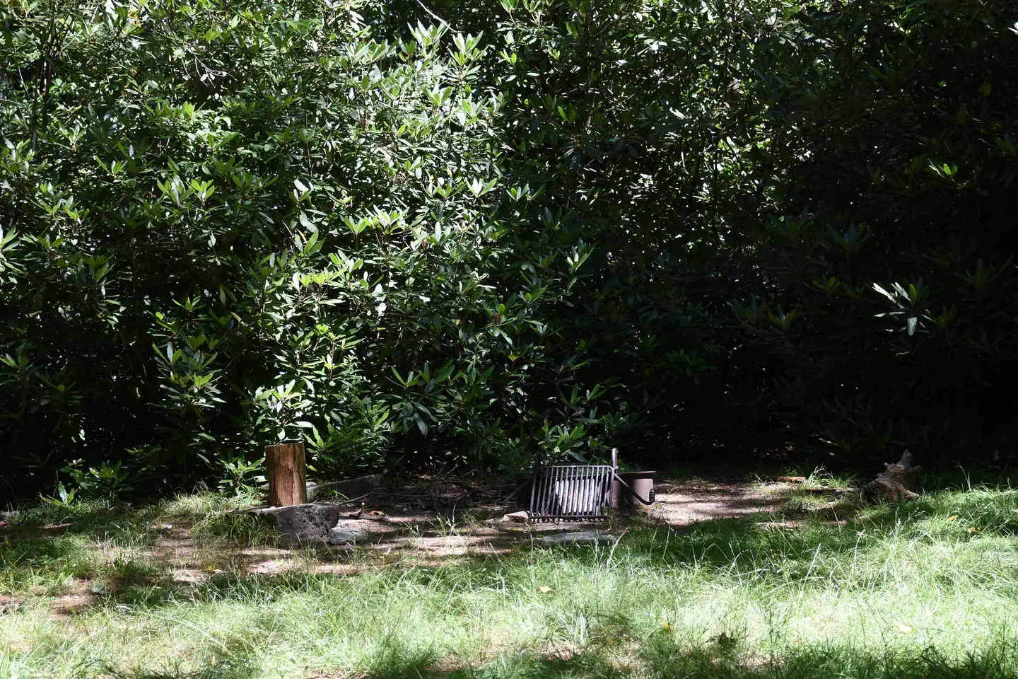 Johns River Road Backcountry Camping — Johns River Road Backcountry Campsite with Grill