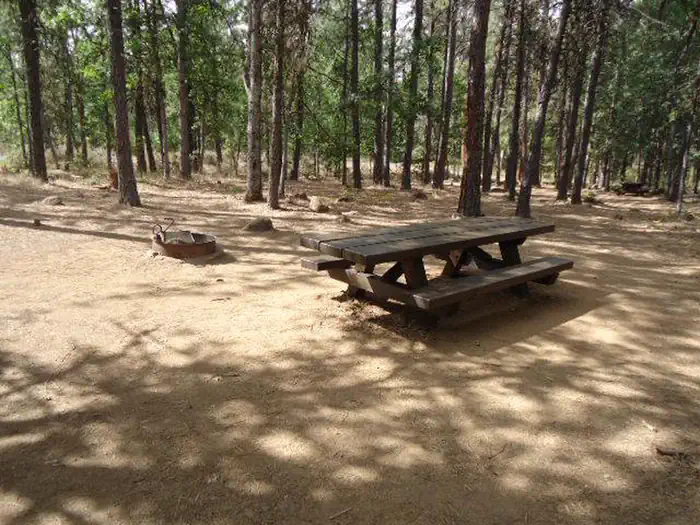 Rock Creek Campground (Mt. Hood National Forest, OR) — Rock Creek Mt Hood NF22