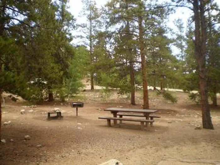 LAKEVIEW CAMPGROUND — LAKEVIEW CAMPGROUND