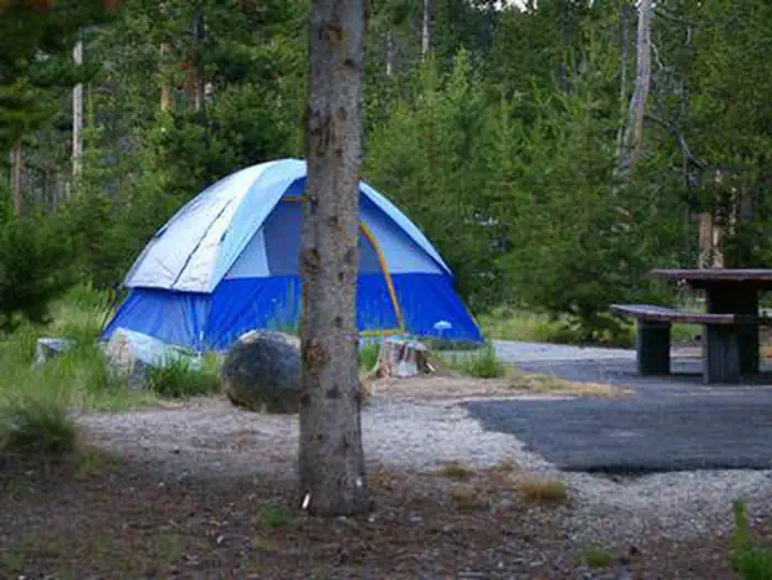 GLACIER VIEW CAMPGROUND — Glacier View tent site