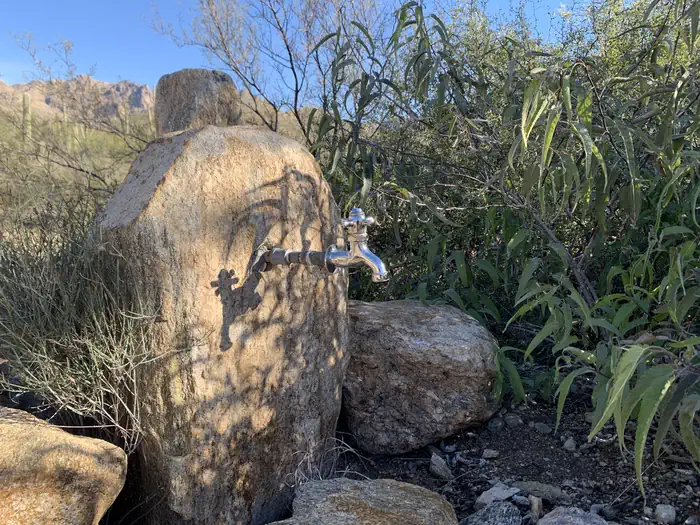 SABINO CANYON RECREATION AREA CACTUS RAMADA 1 — a water spigot coming out of a rock