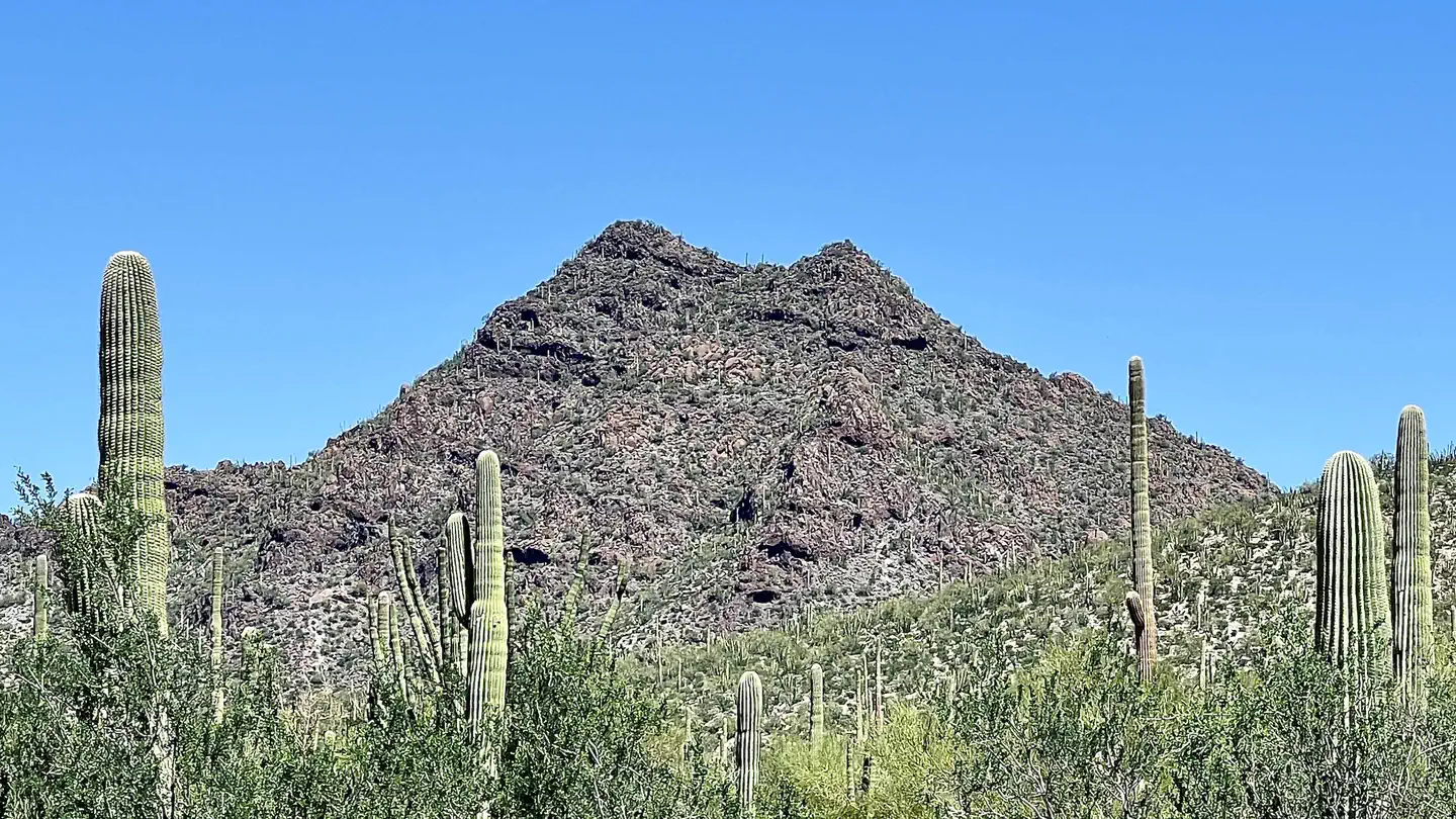 Twin Peaks Campground - Organ Pipe Cactus Nat Monument