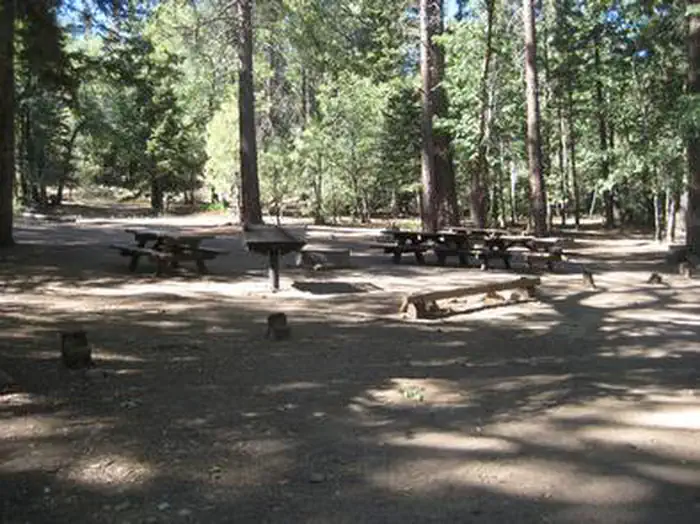 Buttercup Group Campground — Shaded area at Buttercup Group Camp.