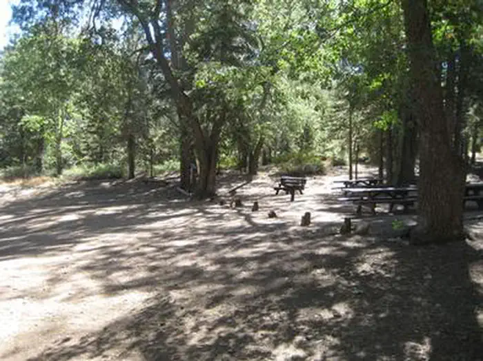 Buttercup Group Campground — Shaded area at Buttercup Group Camp..