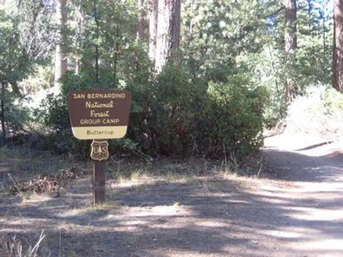 Buttercup Group Campground — Buttercup Group Camp Sign