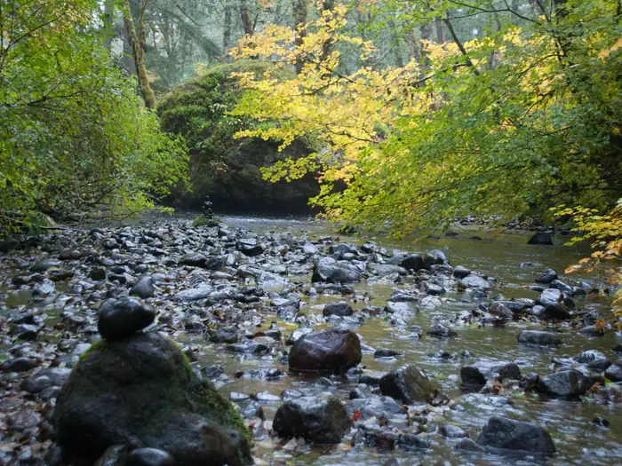 Big Creek (Gifford Pinchot National Forest, WA) — Big Creek
