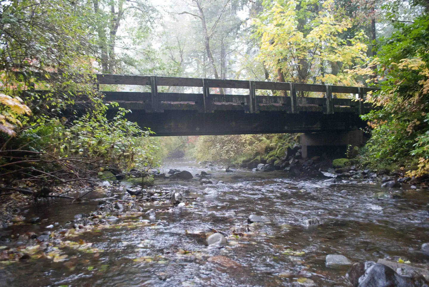Big Creek (Gifford Pinchot National Forest, WA) — Big Creek trail bridge