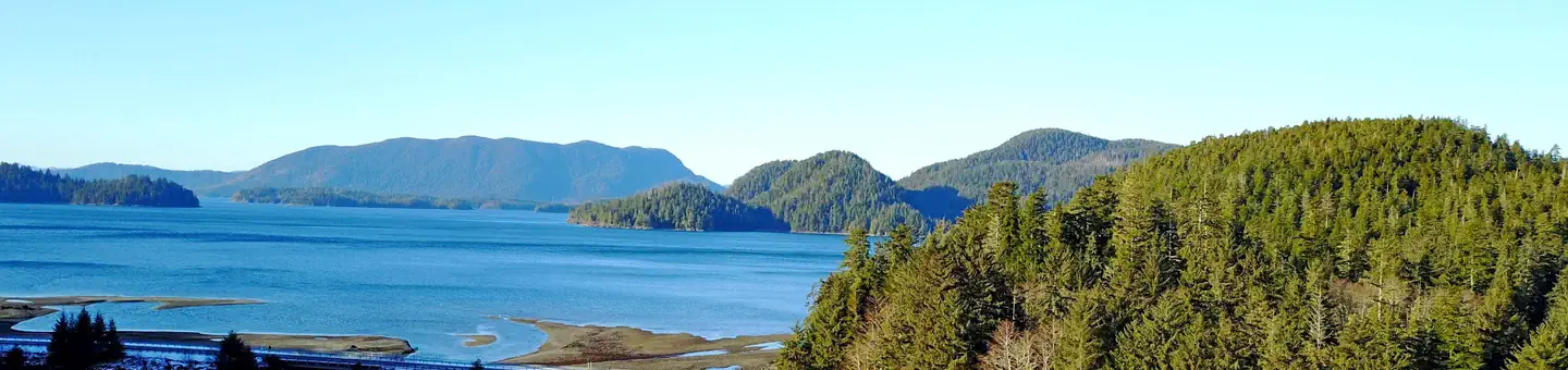 Starrigavan Campsites