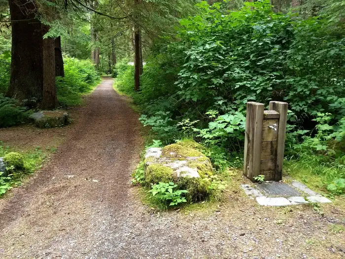 Starrigavan Campsites — STARRIGAVAN CAMPSITES