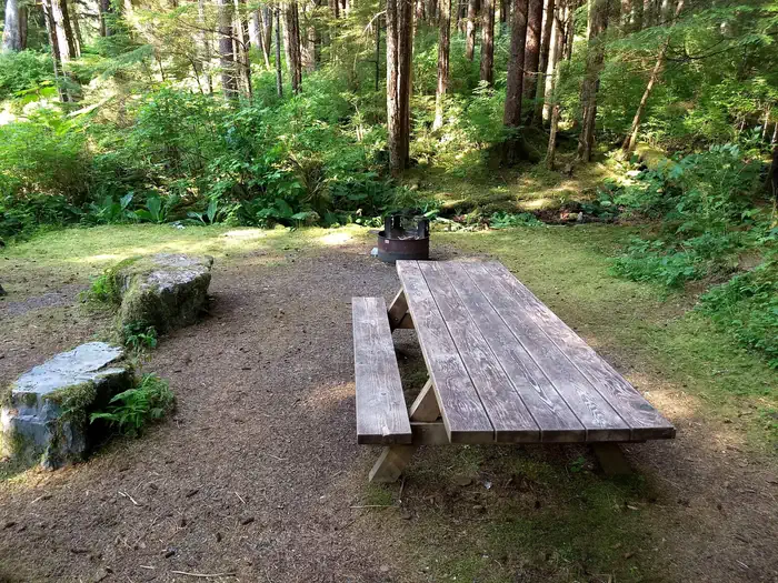 Starrigavan Campsites — STARRIGAVAN CAMPSITES