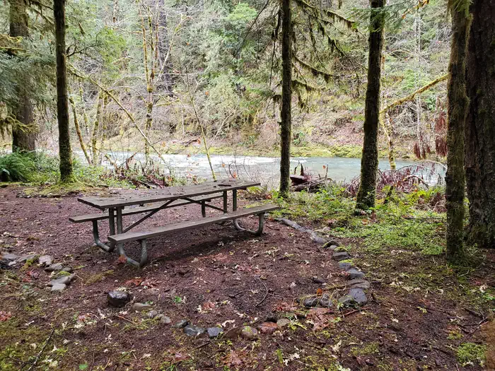 Scaredman Recreation Site — Day-Use picnic table