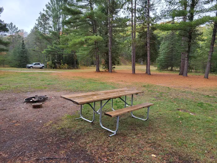 Leg Lake Campsites — Leg Lake Campsite 1 picnic table and fire ring