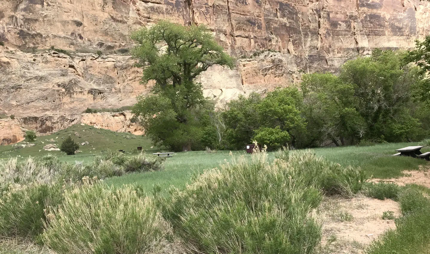 Echo Park Campground — Echo Park Walk in Sites