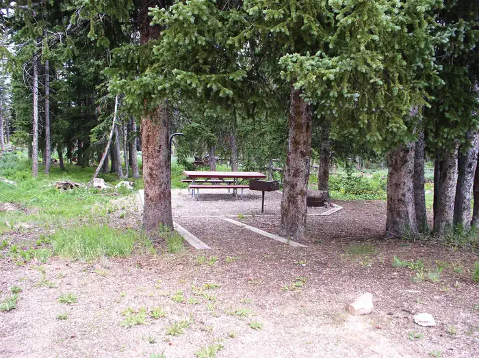 BALD MOUNTAIN CAMPGROUND — Bald Mountain Site 11