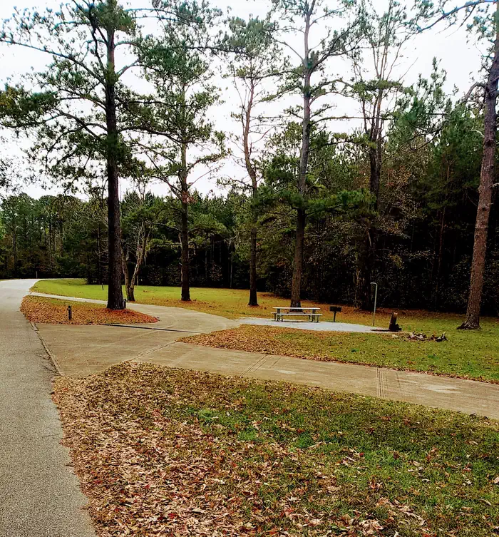 Prairie Creek Campground — PRAIRIE CREEK PULL THROUGH SITE