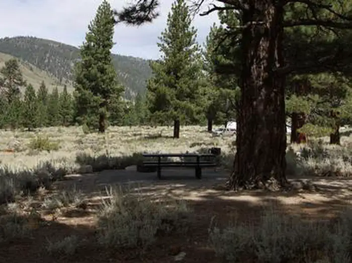CRAGS CAMPGROUND — CRAGS CAMPGROUND