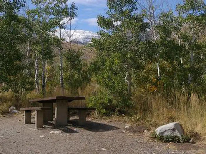 Angel Creek (Humboldt-Toiyabe National Forest, NV) — ANGEL CREEK