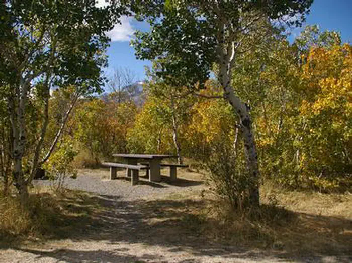 Angel Creek (Humboldt-Toiyabe National Forest, NV) — ANGEL CREEK