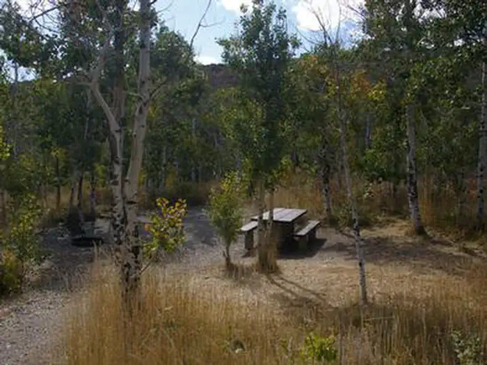 Angel Creek (Humboldt-Toiyabe National Forest, NV) — ANGEL CREEK