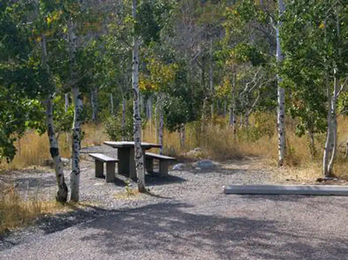 Angel Creek (Humboldt-Toiyabe National Forest, NV) — ANGEL CREEK