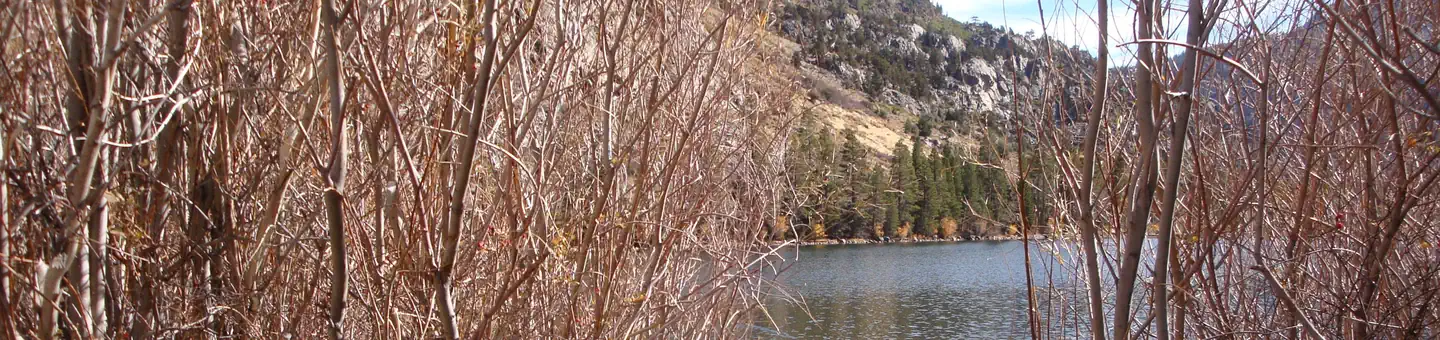 Silver Lake Campground at June Lake
