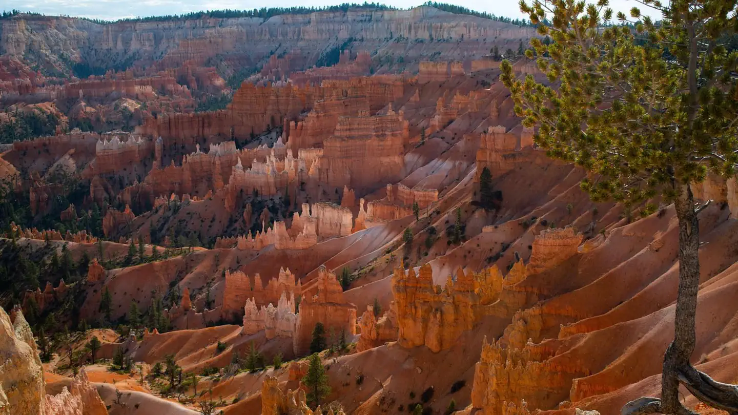 Sunset Campground (UT)