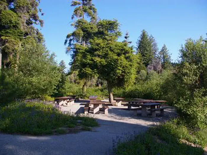Shafer Butte — Partial shade in this group campfire area is surrounded by green vegetation with paved walkways to the sites.
