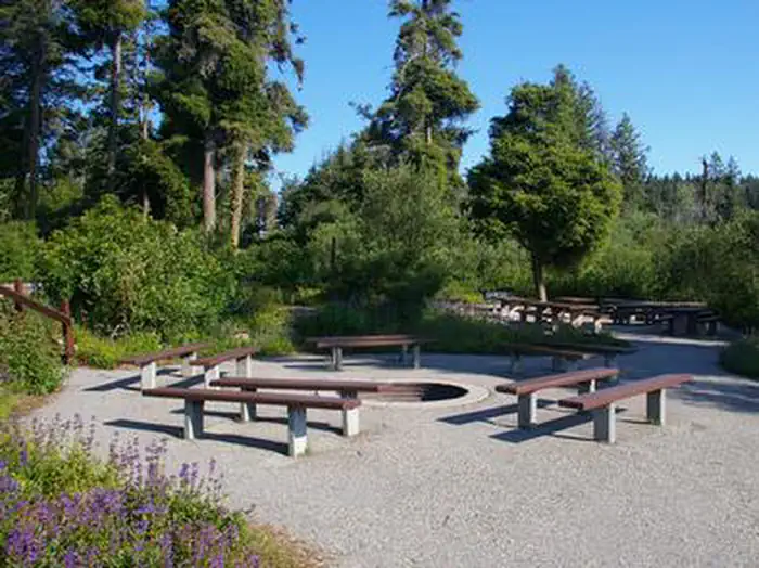 Shafer Butte — While relaxing at the group campfire area you can take in the beautiful views, trees, and wildlife in the area.