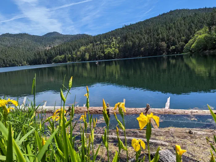 Acorn Woman Lakes — map