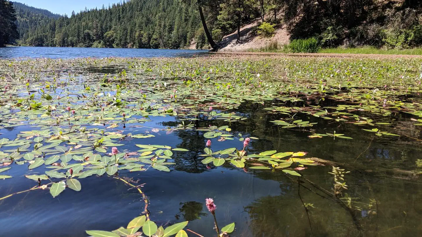 Acorn Woman Lakes — mappss