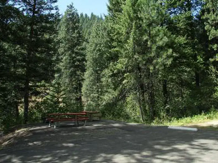 EVERGREEN CAMPGROUND — EVERGREEN CAMPGROUND Site