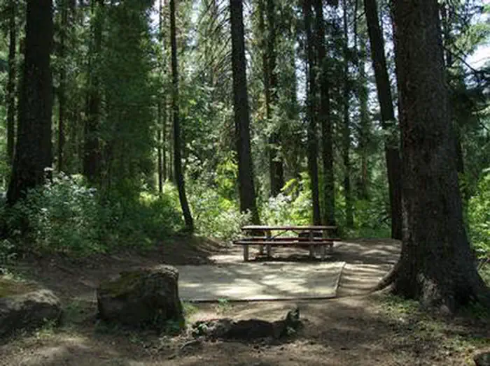 EVERGREEN CAMPGROUND — EVERGREEN CAMPGROUND - forested campsite