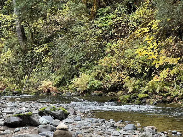 Trout Creek Campground - Willamette (OR) — South Santiam River #2