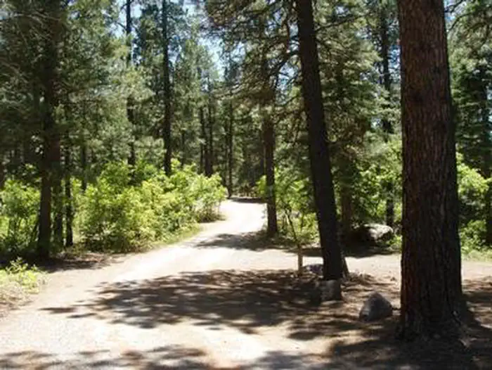 East Fork Campground (San Juan NF - CO) — EAST FORK CAMPGROUND