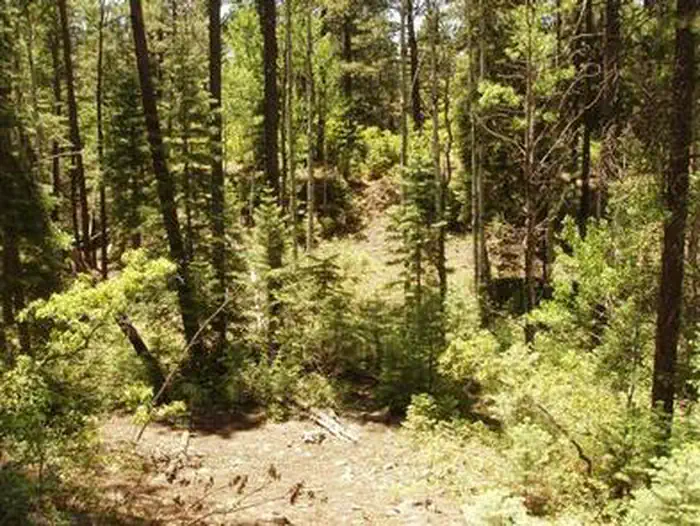 East Fork Campground (San Juan NF - CO) — EAST FORK CAMPGROUND