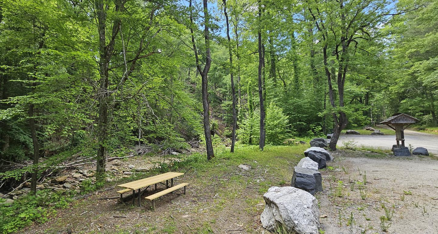 CURTIS CREEK CAMPGROUND (NC) — Curtis Creek Campground Picnic Area