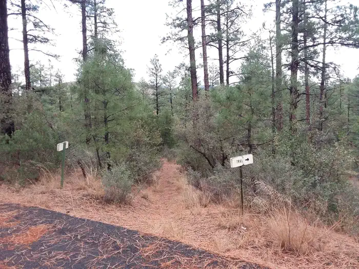 Hilltop Campground (AZ) — Hilltop Campground: trail head 1