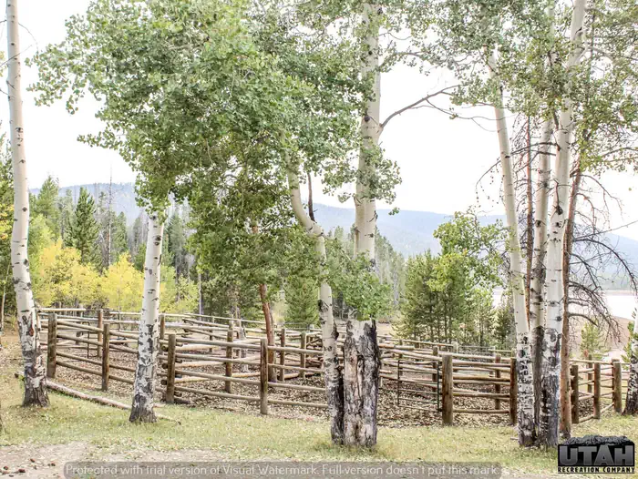 Hoop Lake Trailhead Campground — Hoop Lake Trailhead Campground horse corral