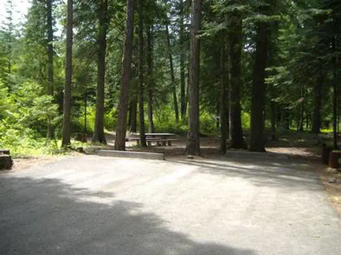 Yaak River Campground (mt) — Yaak River Campground site